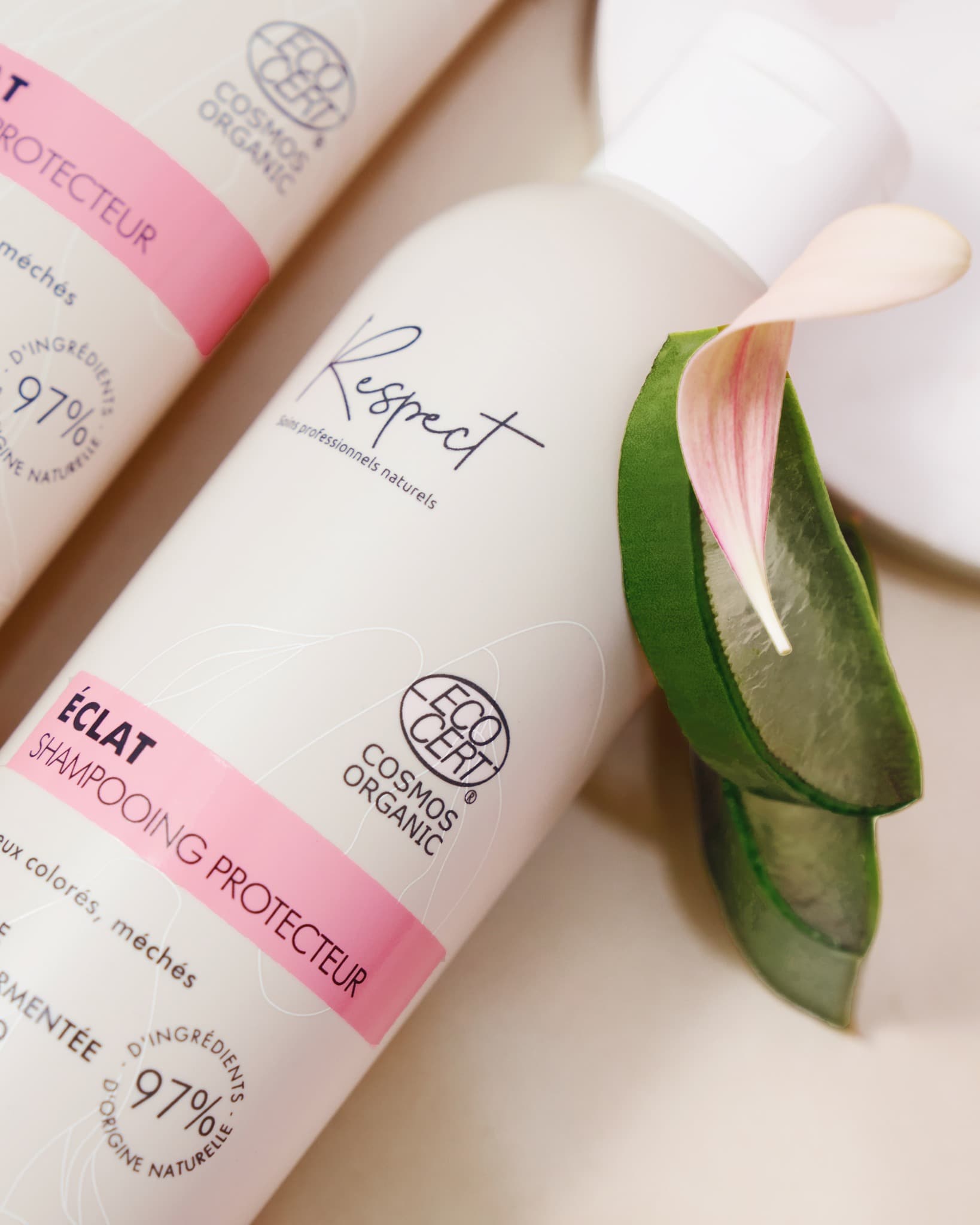 Formulé à partir d’écorce de grenade fermentée et d’aloe vera bio, notre duo shampooing et baume protecteur sera votre allié si vous souhaitez maintenir l’éclat de vos cheveux colorés ou méchés ✨🌷
Disponible dans nos salons