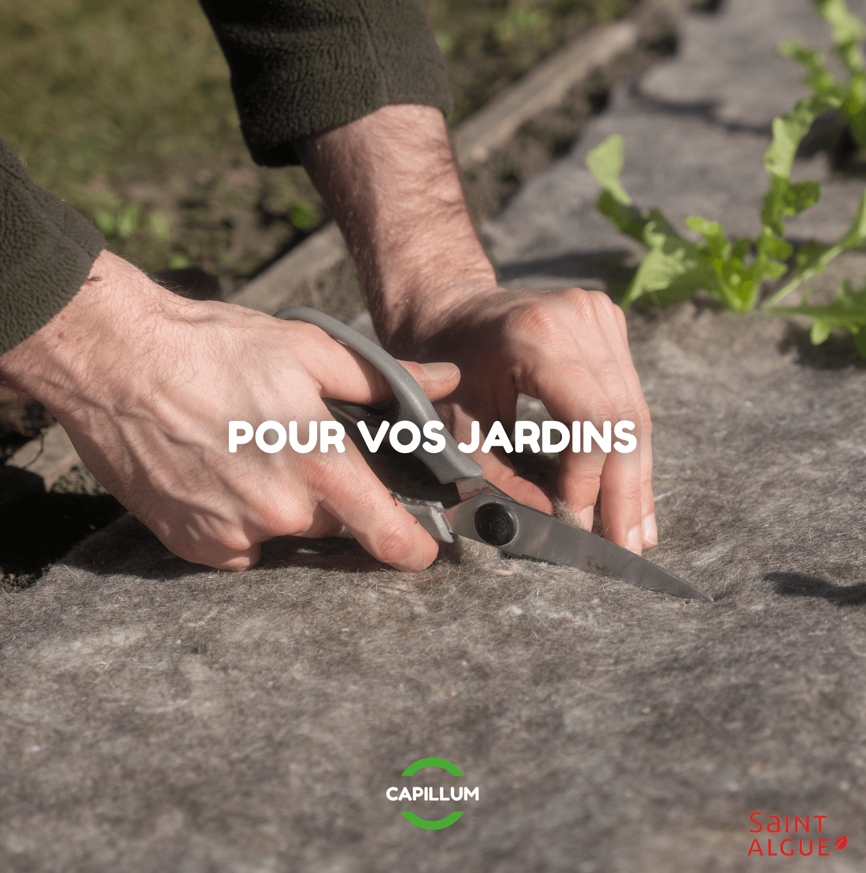 Environnement